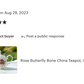 Sandra's Rose with Butterflies Bone China Teapot