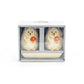 Gift Boxed Hedgehog Figurine Salt and Pepper Shaker Set