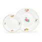 Gracie Bone China Anna Garden Bone China dessert dinner plates