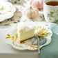 8.5" Assorted Fall Pumpkins Scallop Salad/Dessert Plate Set of 4