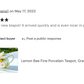 Lemon Bee Fine Porcelain Teapot