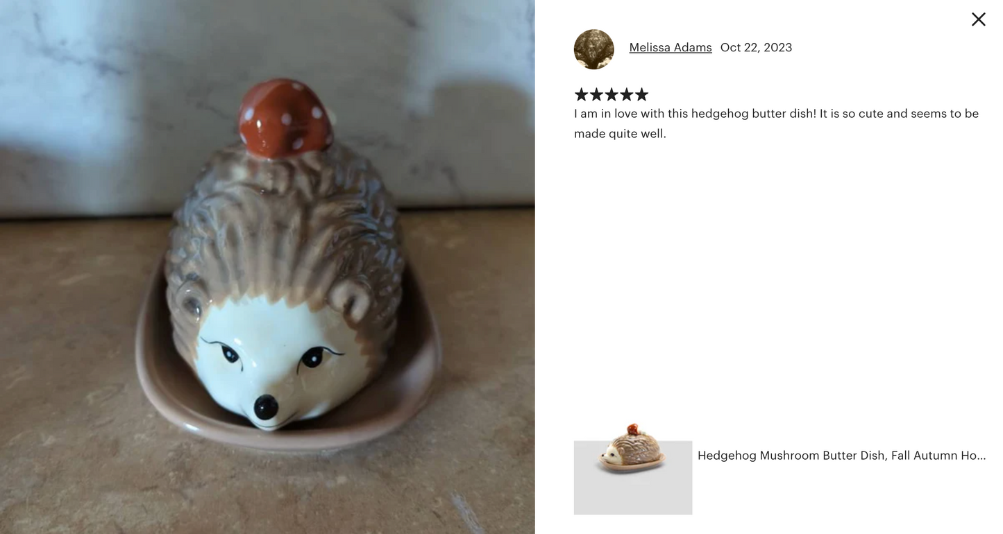 Brown Hedgehog Butter Dish
