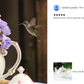 Rose with Blue Accent Fine Porcelain Teapot