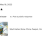 Mad Hatter Bone China Teapot