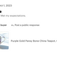 Purple Gold Pansy Bone China Teapot
