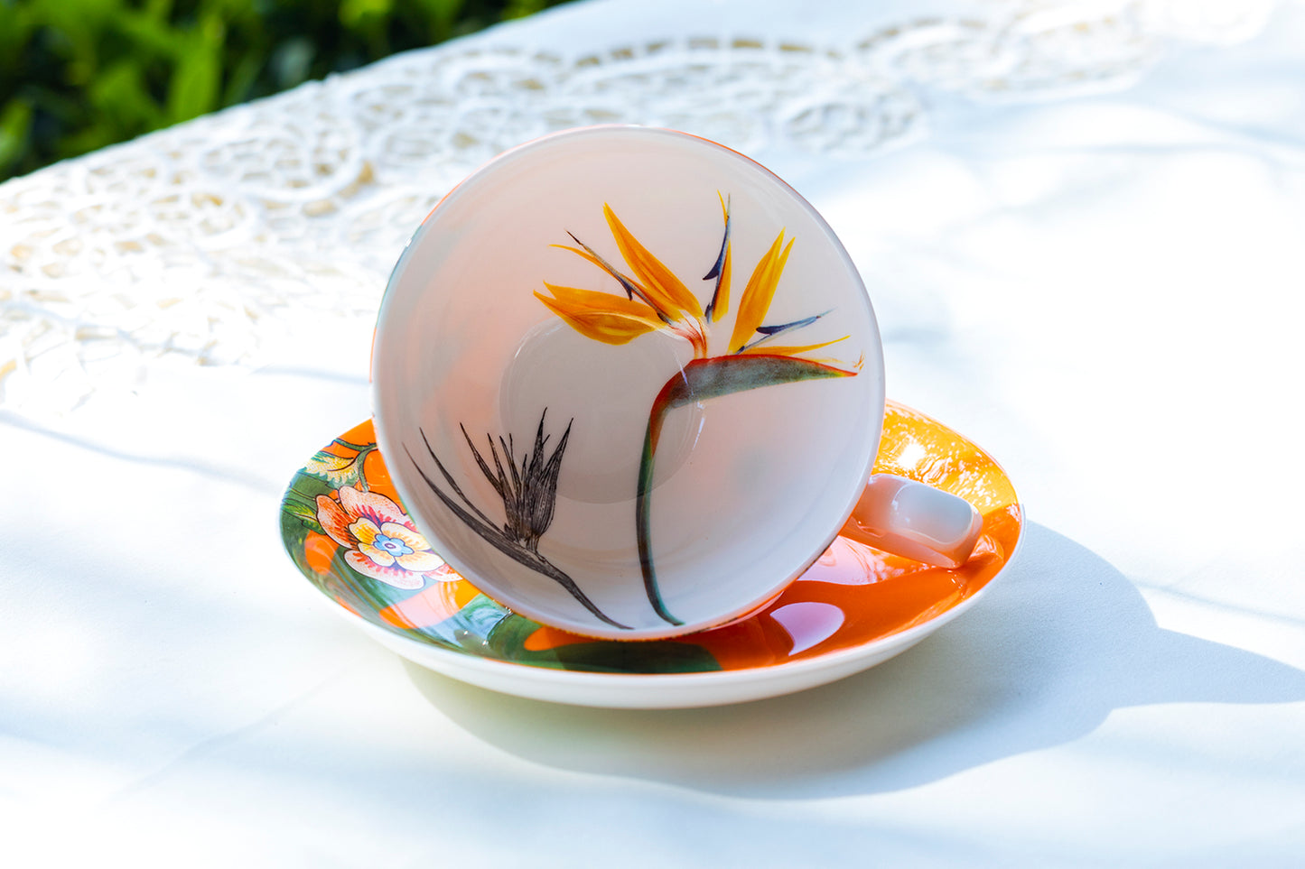 orange bird of paradise