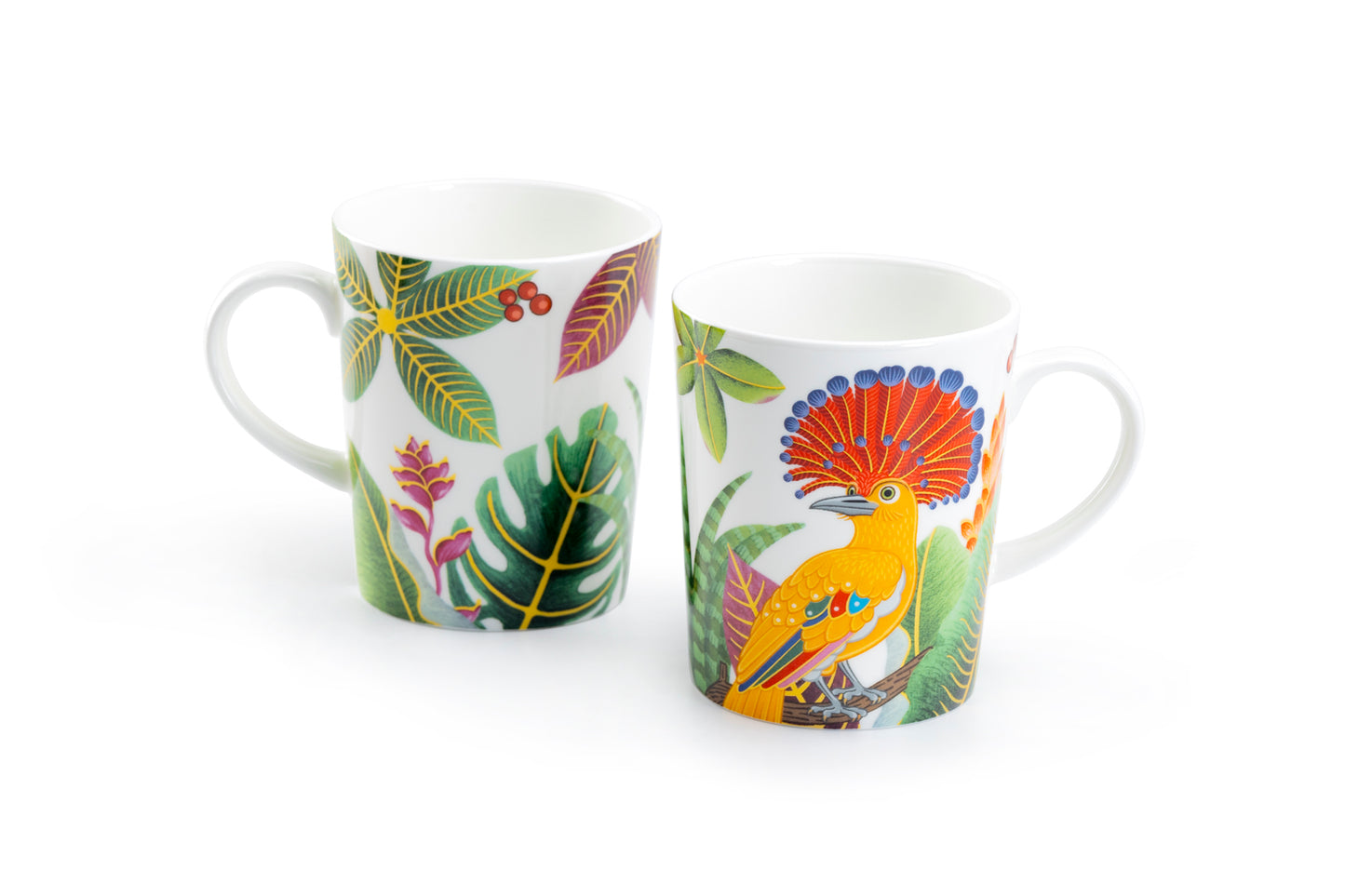 Stechcol Gracie Bone China Tropical Parrot  Mug