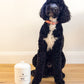 Woof Treat Jar