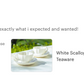 White Scallop Fine Porcelain Tea Cup and Saucer