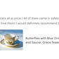 Butterflies with Blue Ornament Fine Porcelain Cup and Saucer