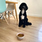6.25" Organic Coral Dots Heavy Weight Ceramic Pet Bowl