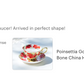Poinsettia Gold Bone China Tea Cup and Saucer