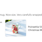 Poinsettia Bone China Mug