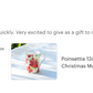 Poinsettia Bone China Mug