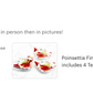 Poinsettia Fine Porcelain Tea Bag Holder Set of 4