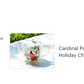 Cardinal Poinsettia Bone China Teapot