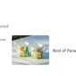 Bird of Paradise Bone China Mug
