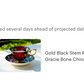 Gold Black Stem Rose Bone China Tea Cup and Saucer