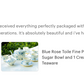 Blue Rose Toile Fine Porcelain Tea Set