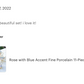 Rose with Blue Accent Fine Porcelain 11-Piece Tea Set
