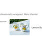 Lemon Butterfly Fine Porcelain Mug